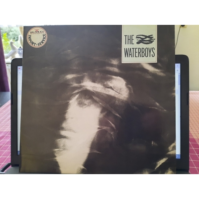 The Waterboys – The Waterboys  (Island Records – 205 632) (Zeer goede staat, hoes VG+ en vinyl VG+)